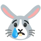 cara llorando + cara de conejo