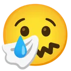 cara llorando + cara estornudando