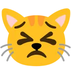 entschlossenes Gesicht + Katzengesicht