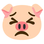 entschlossenes Gesicht + Schweinegesicht