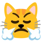 face with steam from nose + cat face
