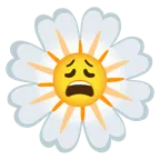 erschöpftes Gesicht + gelbe Blüte