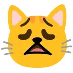 erschöpftes Gesicht + Katzengesicht