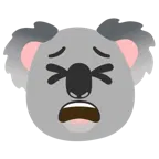 müdes Gesicht + Koala
