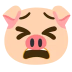 müdes Gesicht + Schweinegesicht