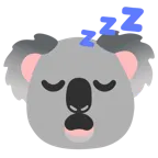uyuyan yüz + koala