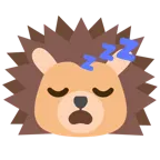 uyuyan yüz + kirpi