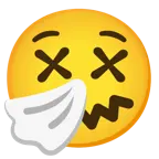 benommenes Gesicht + niesendes Gesicht