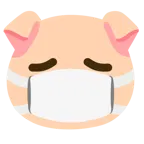 cara con mascarilla médica + cara de cerdo