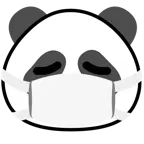 cara con mascarilla médica + panda
