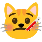 Gesicht mit Fieberthermometer + Katzengesicht