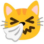 niesendes Gesicht + Katzengesicht