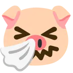 niesendes Gesicht + Schweinegesicht