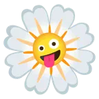 çılgın surat + çiçek açma