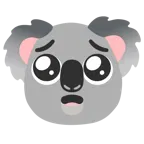 yalvaran yüz + koala