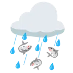 ฉลาม + เมฆฝน