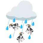 Kuhgesicht + Wolke mit Regen