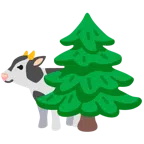 Kuhgesicht + Nadelbaum