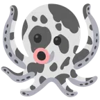 Kuhgesicht + Oktopus