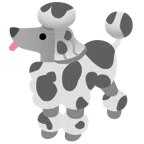Kuhgesicht + Pudel