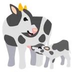 गाय का चेहरा + गाय का चेहरा