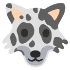 Kuhgesicht + Wolf
