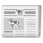 Kuhgesicht + Zeitung