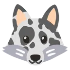 Kuhgesicht + Fuchs