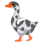 Kuhgesicht + Gans