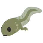 Frosch + Fisch