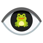 Frosch + Auge