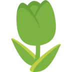 grünes Herz + Tulpe