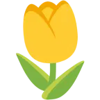 gelbes Herz + Tulpe
