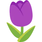 lila Herz + Tulpe