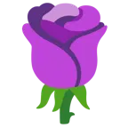 lila Herz + Rose