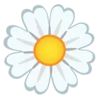 weißes Herz + gelbe Blüte