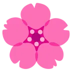 pinkes Herz + Kirschblüte