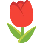 rotes Herz + Tulpe