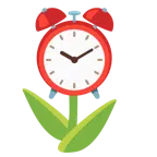Tulpe + Wecker