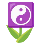 Tulpe + Yin und Yang