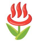 Tulpe + heiße Quellen