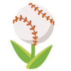 Tulpe + Baseball