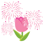 fuochi d’artificio + tulipano