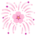fuochi d’artificio + fiore di ciliegio