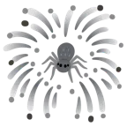 fuochi d’artificio + ragno