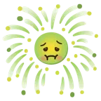 fuochi d’artificio + faccina nauseata
