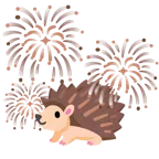 fuochi d’artificio + riccio
