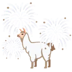 fuochi d’artificio + lama