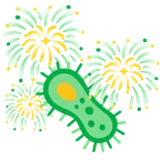 fuochi d’artificio + microbo
