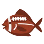 アメフト + 魚